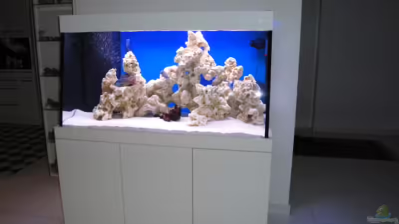 Aquarium Becken 16352 von Bruno Wieser (5)