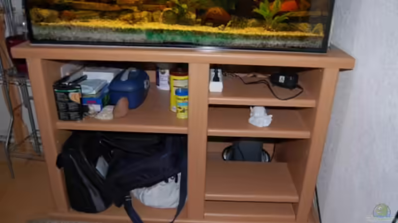 Aquarium Becken 16377 von Birgit Brocke (8)