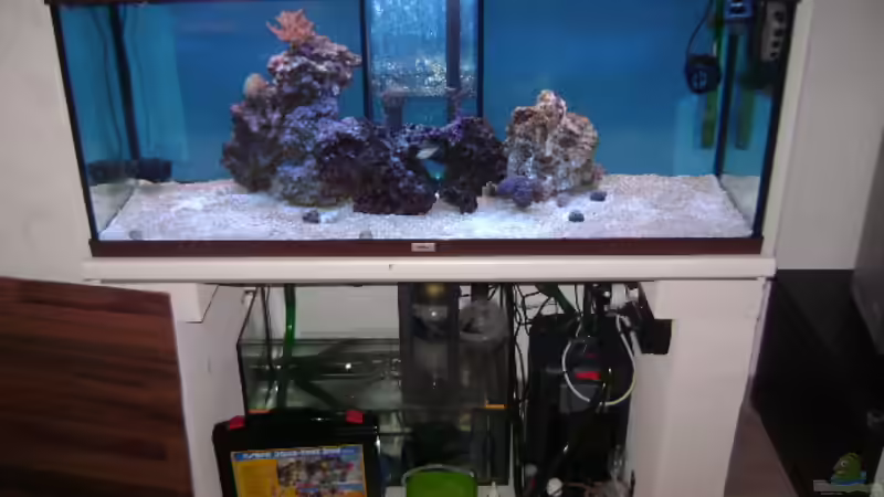 Aquarium Becken 16420 von Daniel Winkler (3)