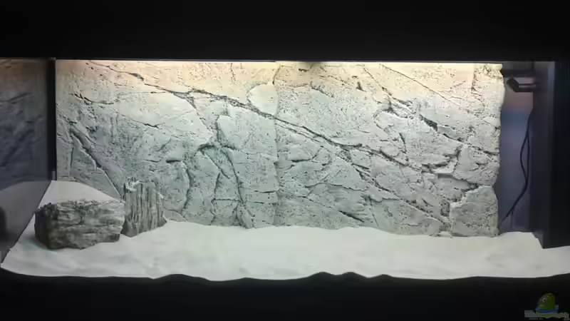 Aquarium Becken 16462 von Zeljko Jovanovic (3)