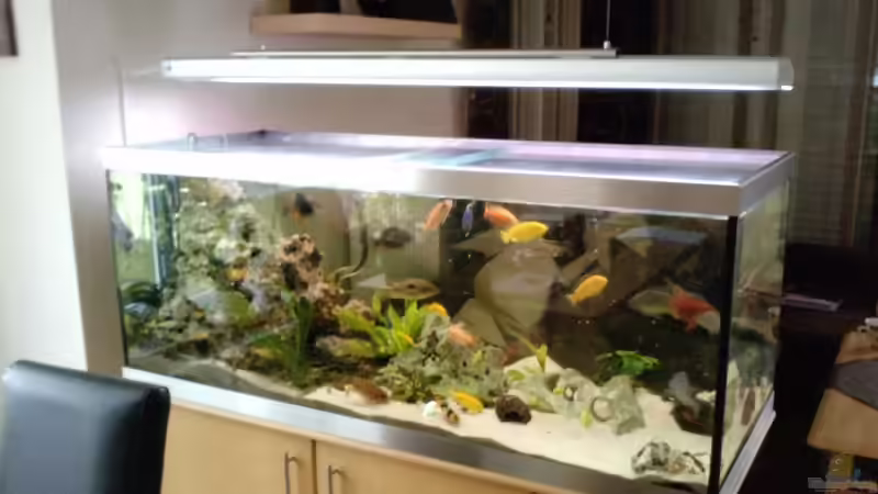 Aquarium Becken 16502 von Limbo (3)