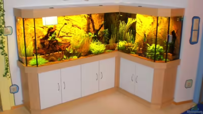 Aquarium Becken 16618 von Daniel O. (4)