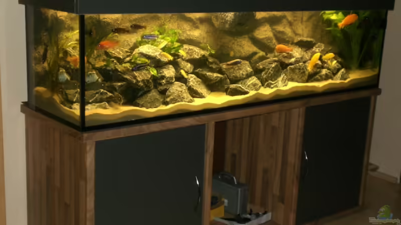 Aquarium Becken 16651 von Thomas Dietrich (3)