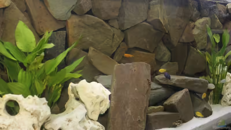 Aquarium Becken 16766 von De_Andyman (2)