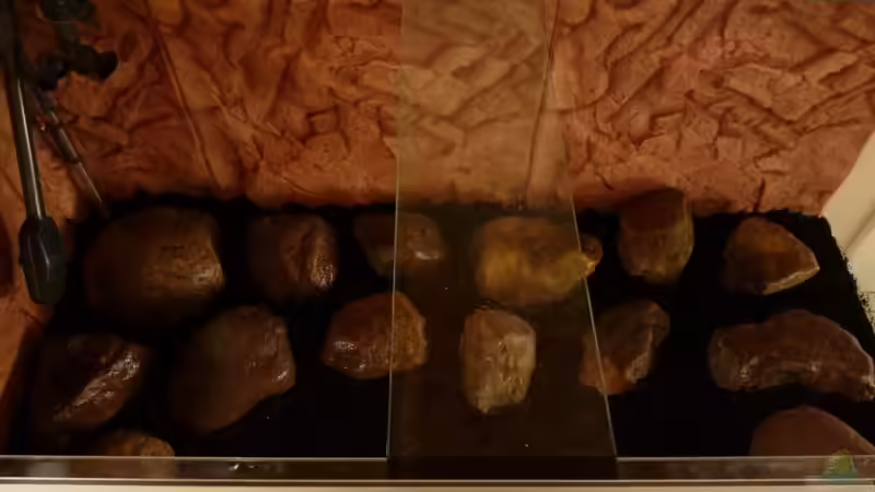 Aquarium Becken 16807 von Chimbwe (2)