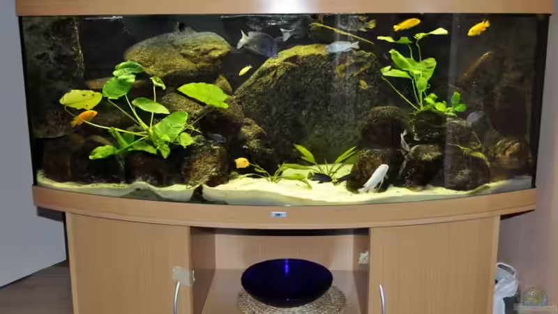 Aquarium Becken 16908 von Vladi (16)