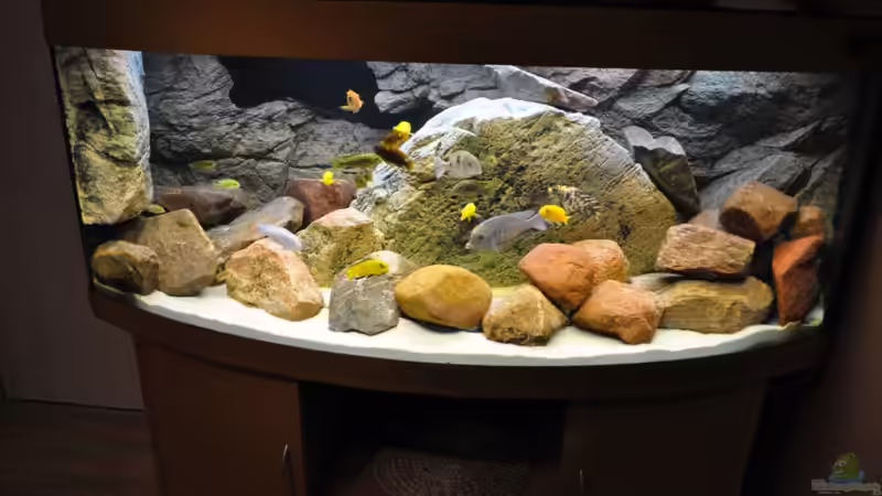 Aquarium Becken 16908 von Vladi (8)