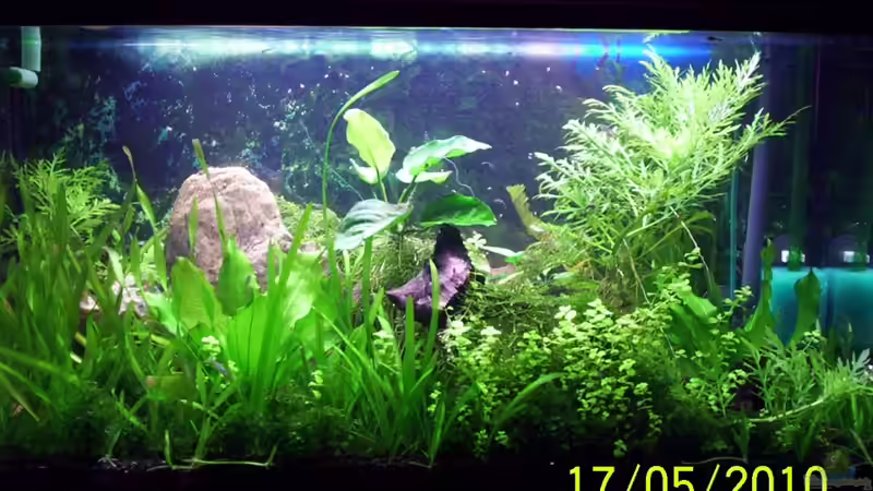 Aquarium Becken 16979 von Zeus (2)