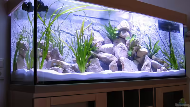 Aquarium Becken 16980 von Thomas Herbst (2)