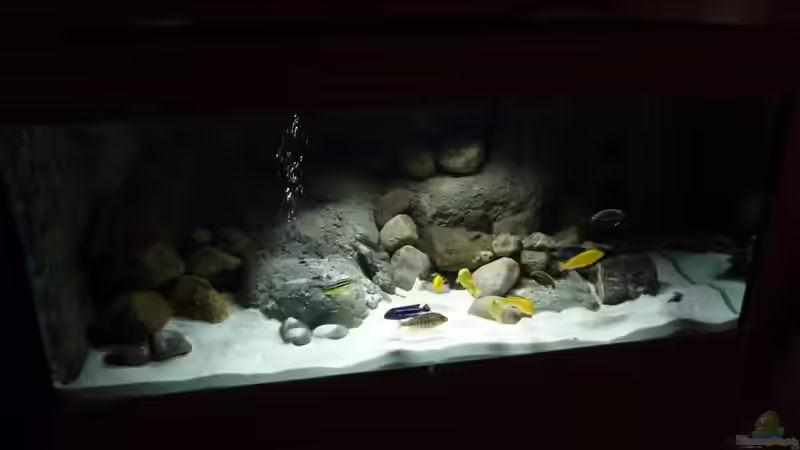 Aquarium Becken 16993 von Philipp Müller (10)