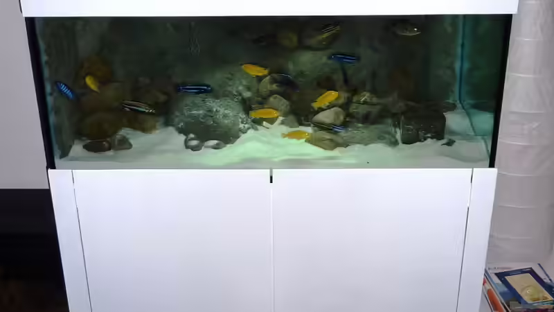 Aquarium Becken 16993 von Philipp Müller (11)