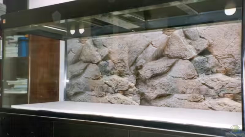 Aquarium Becken 170 von wissefux (2)