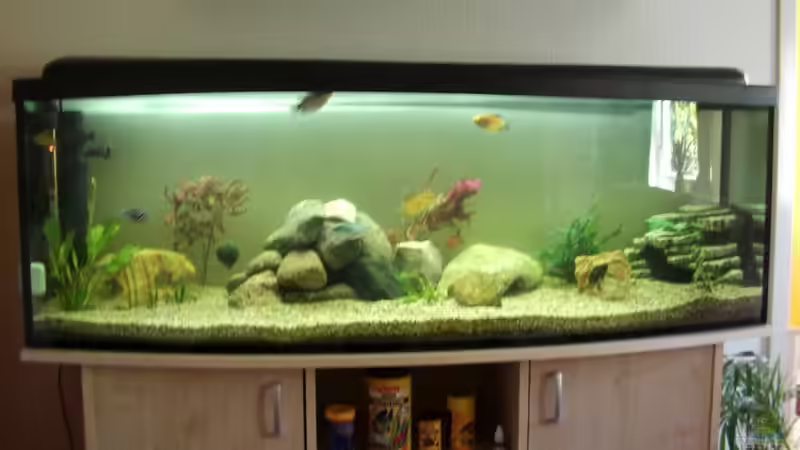 Aquarium Becken 17115 von Mark M (2)