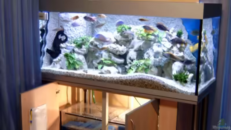 Aquarium Becken 1712 von Josef Knauer (2)