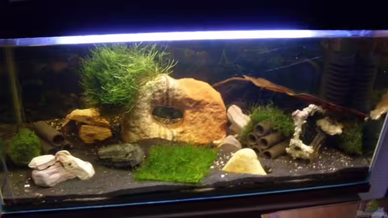 Aquarium Becken 17299 von lichterschein (2)