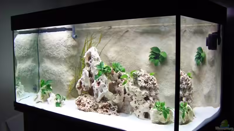 Aquarium Becken 1748 von Steffen Kehle (3)