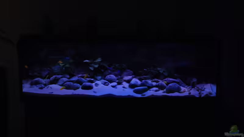 Aquarium Becken 17495 von Rob Van Der Velde (4)