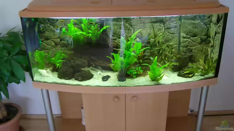 Aquarium Becken 17523 von Aspel82 (2)