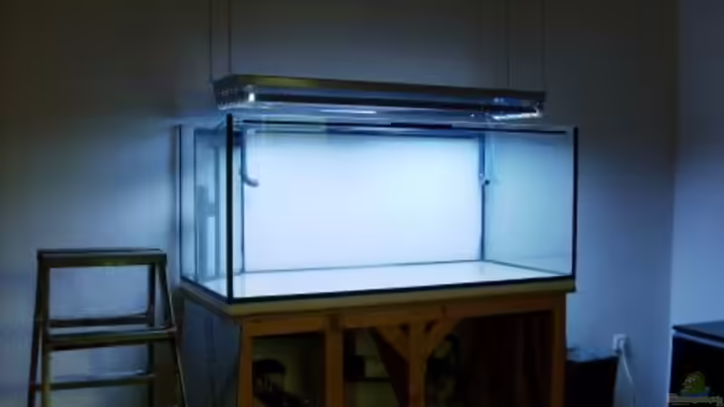 Aquarium Becken 17663 von andi1 (2)