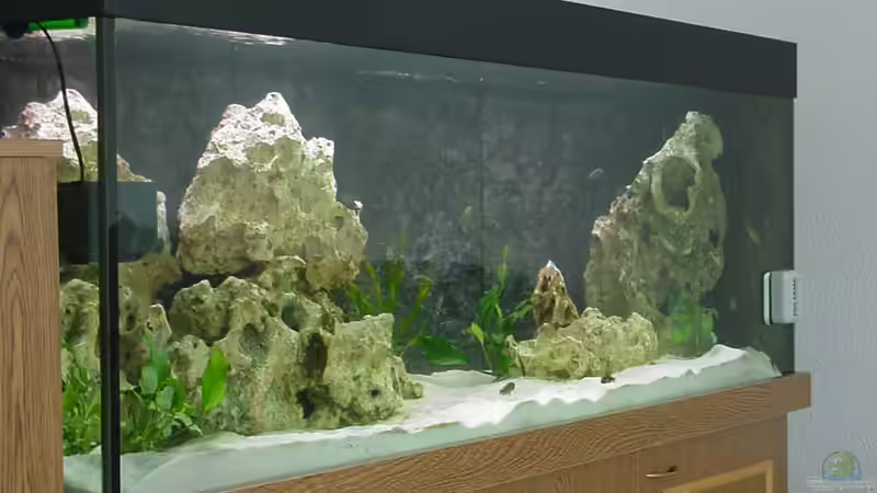 Aquarium Becken 178 von Uwe Veckenstedt (3)