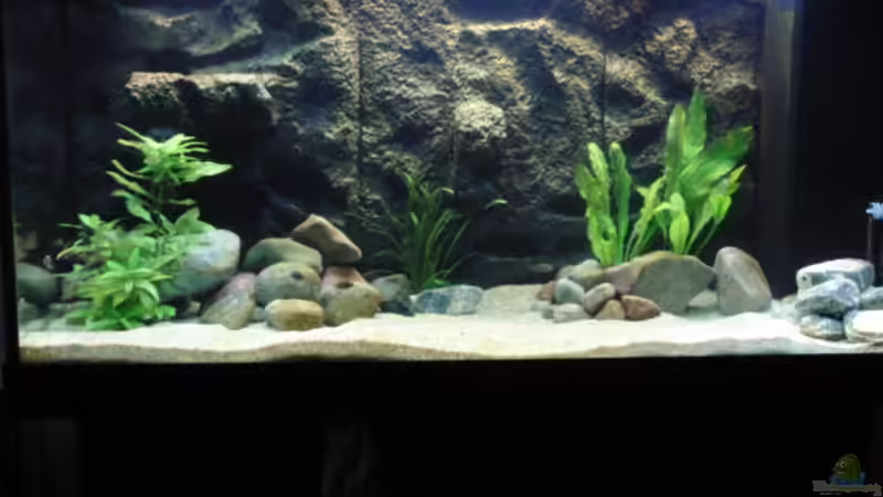 Aquarium Becken 17837 von Alex_085 (2)