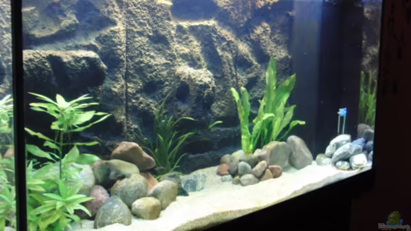Aquarium Becken 17837 von Alex_085 (4)