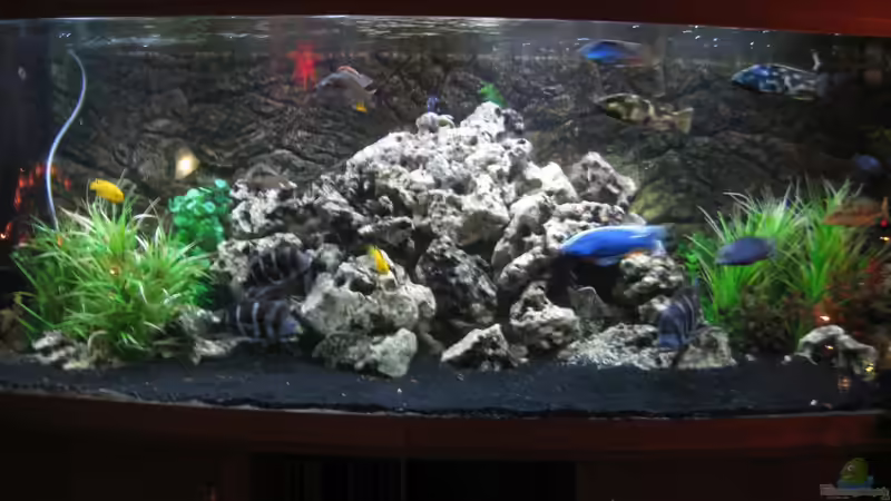 Aquarium Becken 17952 von MAGNUM (2)