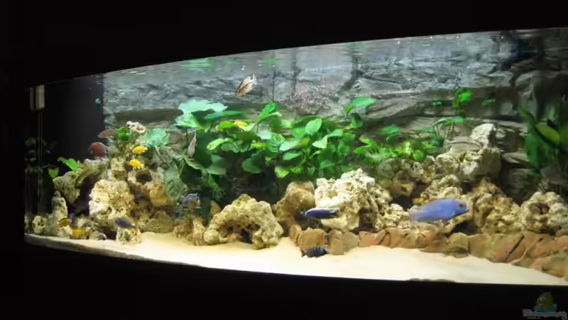 Aquarium Becken 17952 von MAGNUM (4)