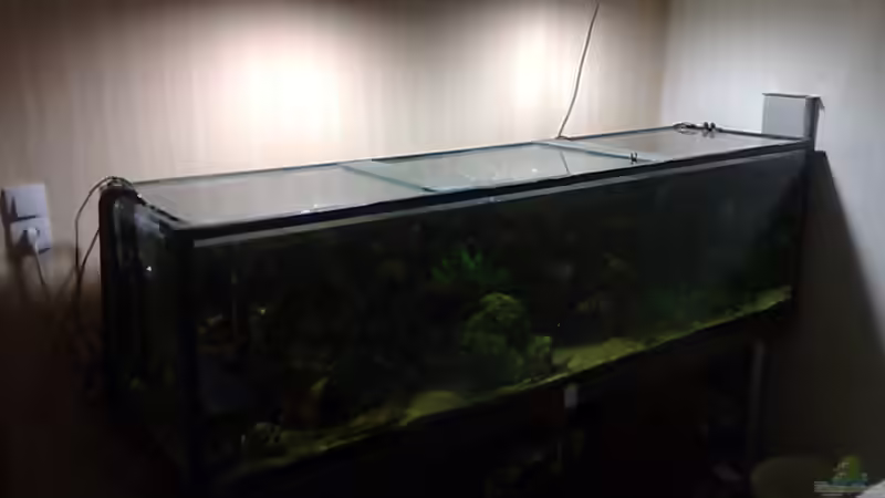 Aquarium Becken 17956 von Sebastian Rolfes (2)