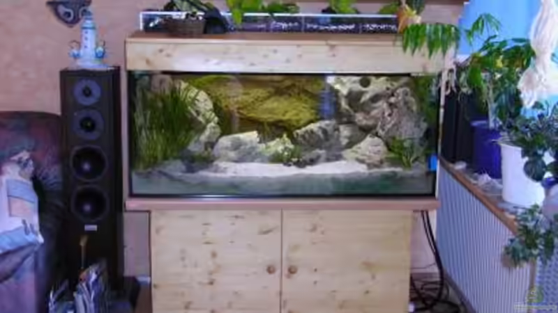 Aquarium Becken 180 von Stefan Henrich (2)