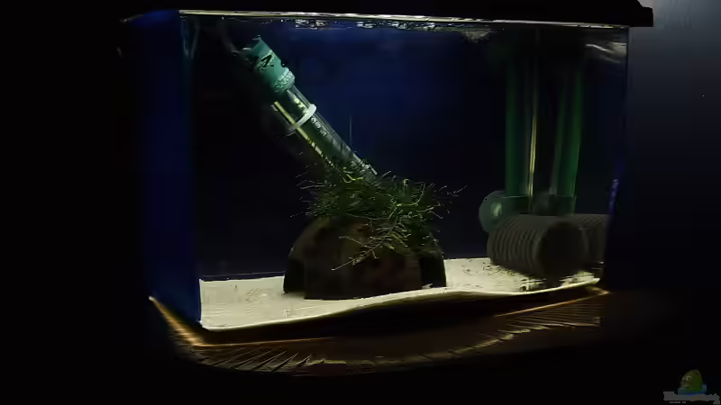 Aquarium Becken 1804 von Torsten Bullmahn (2)