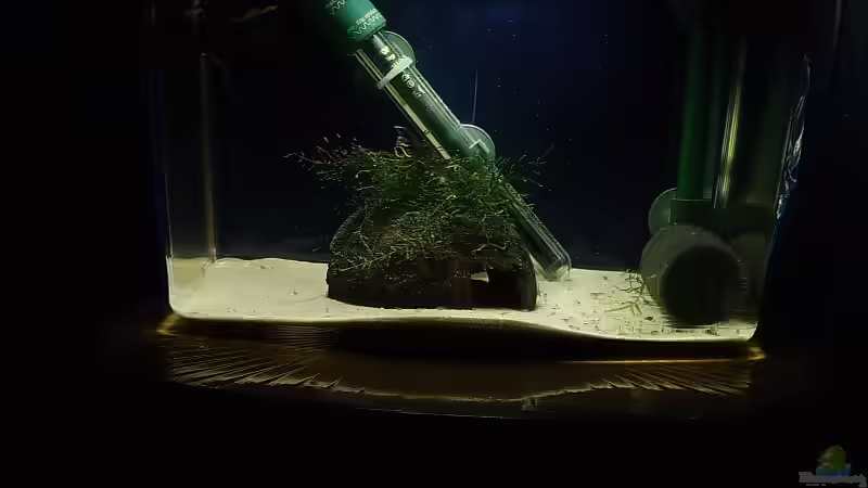 Aquarium Becken 1804 von Torsten Bullmahn (4)