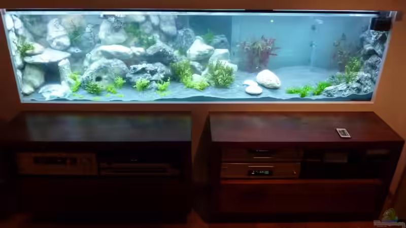 Aquarium Becken 18085 von Lommy (11)