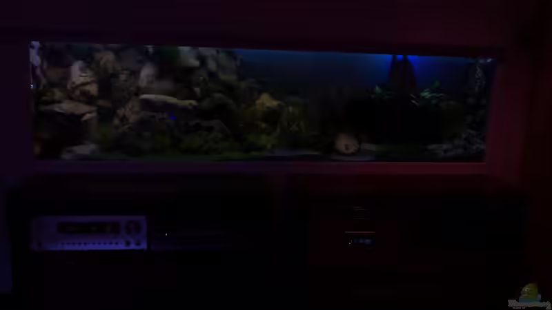 Aquarium Becken 18085 von Lommy (12)