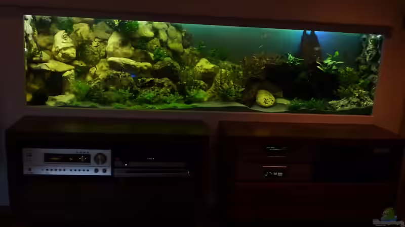 Aquarium Becken 18085 von Lommy (13)