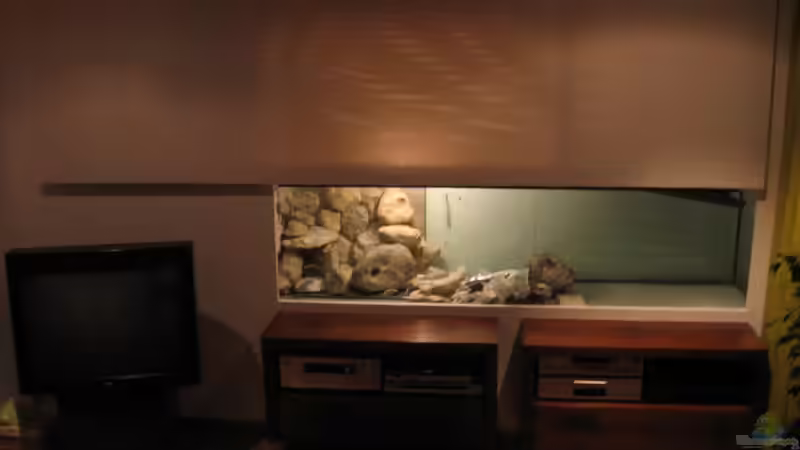 Aquarium Becken 18085 von Lommy (5)