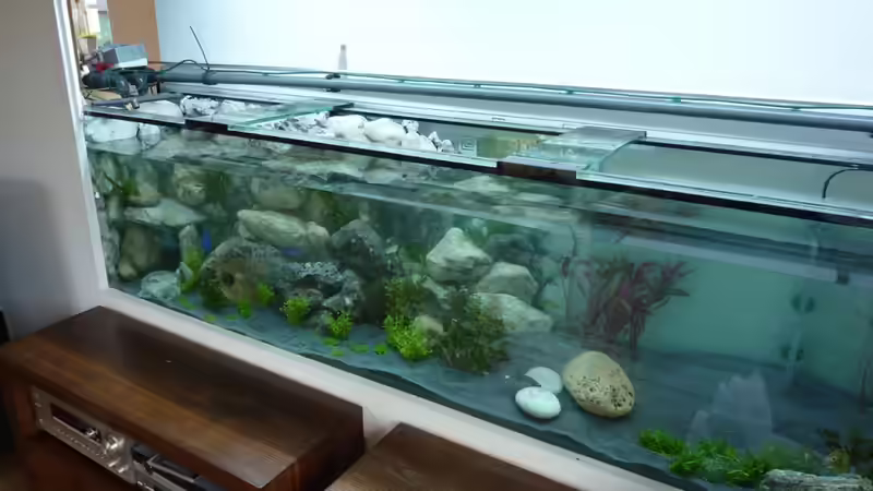 Aquarium Becken 18085 von Lommy (9)