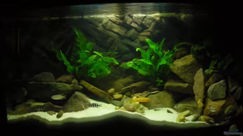 Aquarium Becken 18106 von Guido Fülle (2)