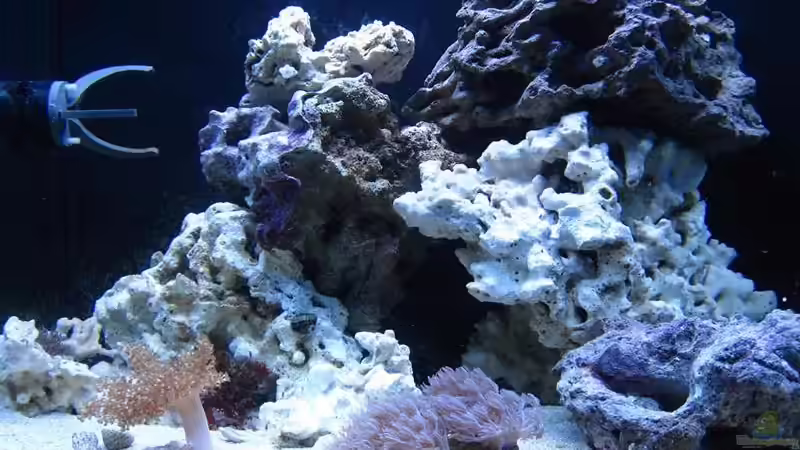 Aquarium Becken 18107 von All in one (2)