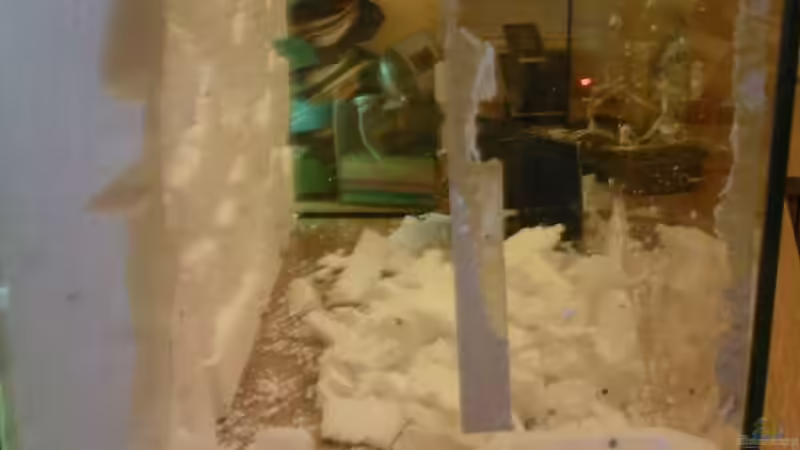 Aquarium Becken 18113 von Pasch (3)