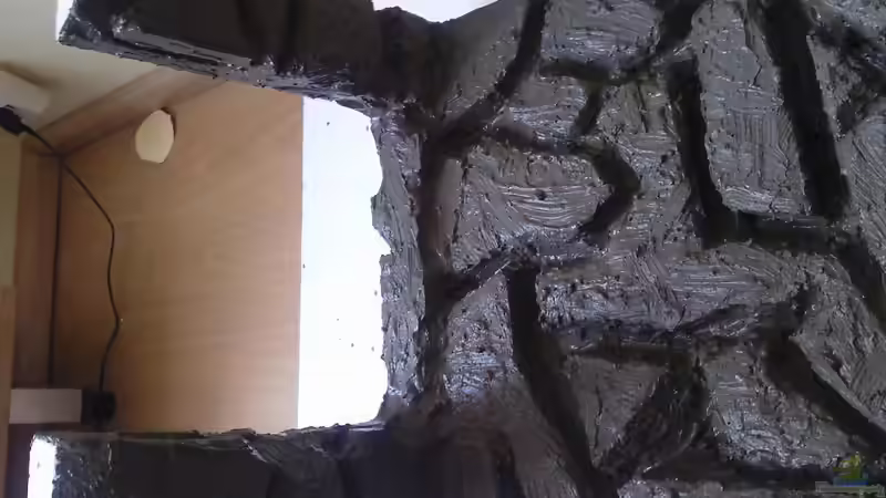 Aquarium Becken 18113 von Pasch (6)