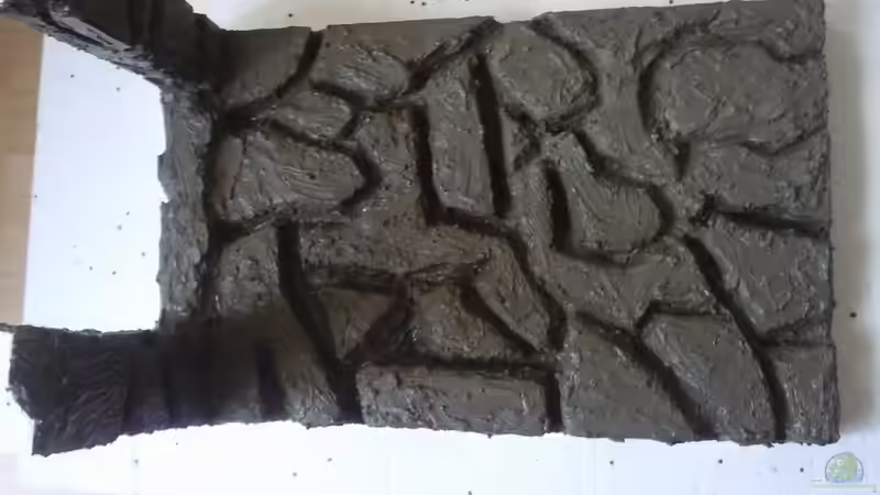 Aquarium Becken 18113 von Pasch (7)