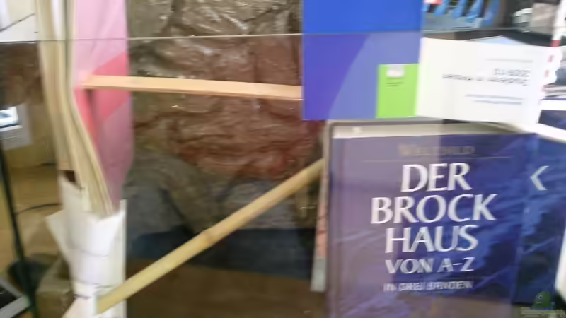 Aquarium Becken 18113 von Pasch (8)