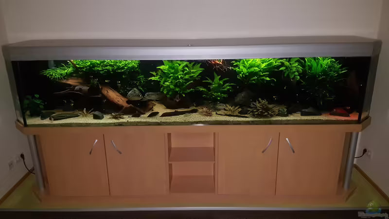 Aquarium Becken 18144 von adiskus (2)