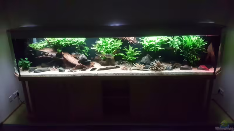 Aquarium Becken 18144 von adiskus (3)