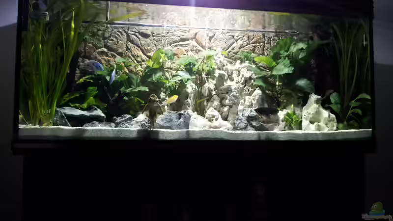 Aquarium Becken 18250 von Markusb (2)