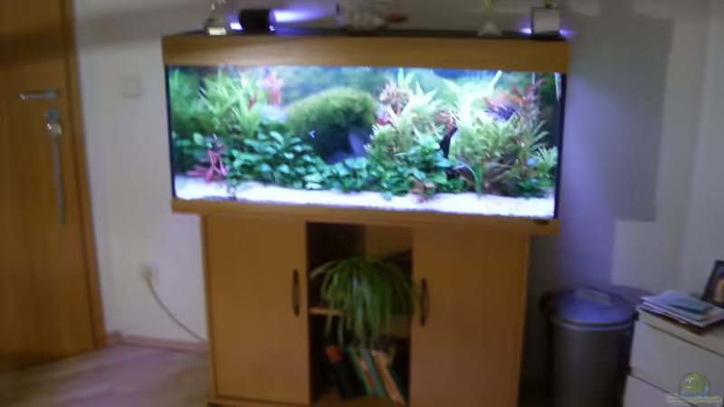 Aquarium Becken 18323 von Dominic Regett (7)