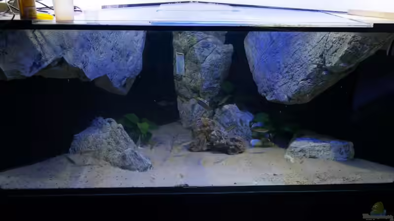 Aquarium Becken 18329 von tattooindi (2)