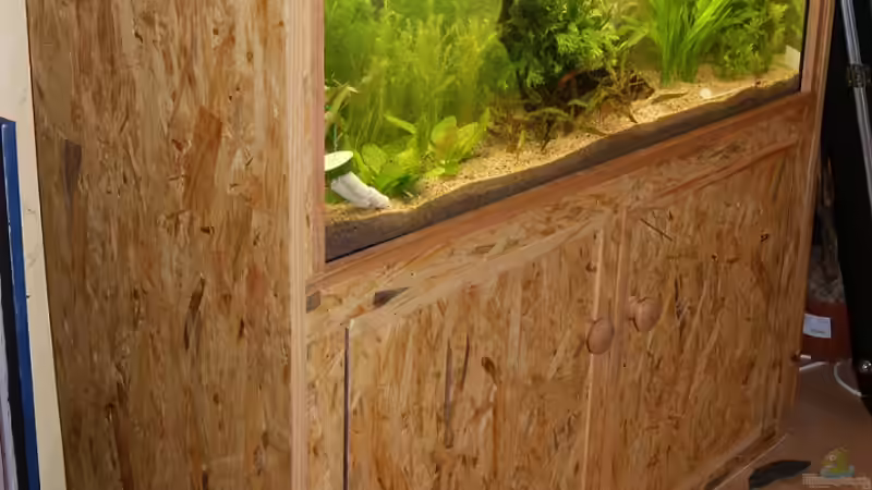 Aquarium Becken 18439 von Isabell Kölling (2)