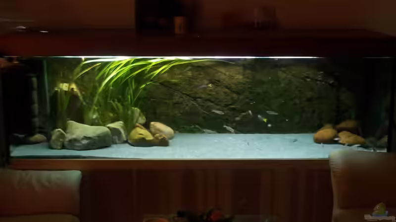 Aquarium Becken 18802 von Mara_Rocks (10)